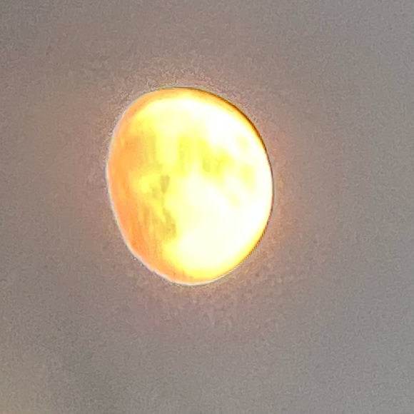 Meet your Posher, Andrew - Picture 1 of 1